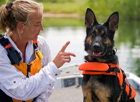 Search and rescue dog training. Things To Know About Search and rescue dog training. 